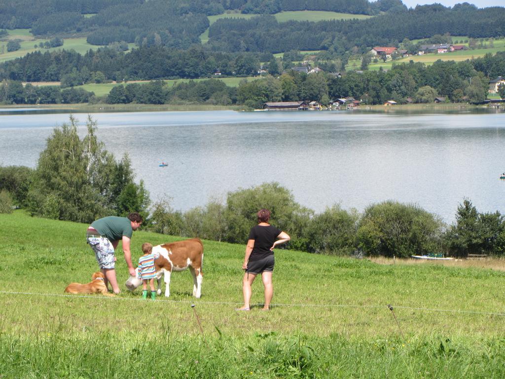 Villa Bauernhof Schink Zell am Moos Esterno foto