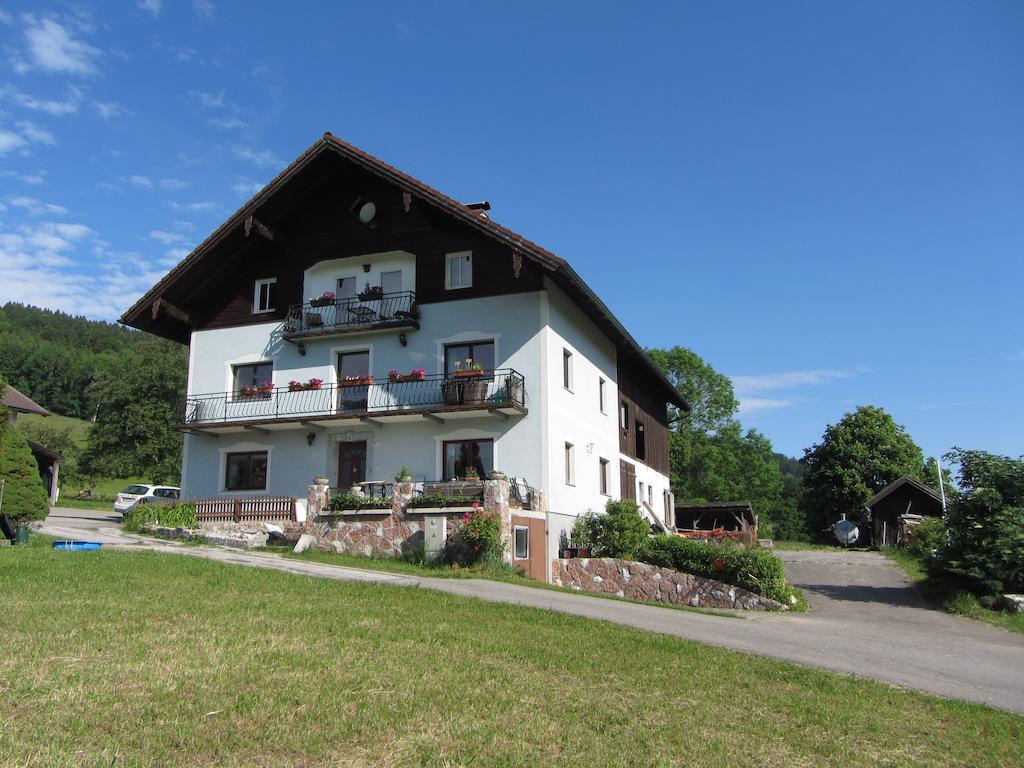 Villa Bauernhof Schink Zell am Moos Esterno foto