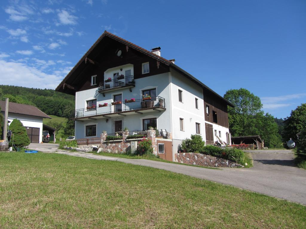 Villa Bauernhof Schink Zell am Moos Esterno foto