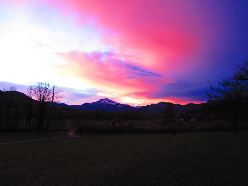 Villa Bauernhof Schink Zell am Moos Esterno foto